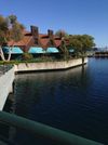 1821 Tiburon Blvd photo